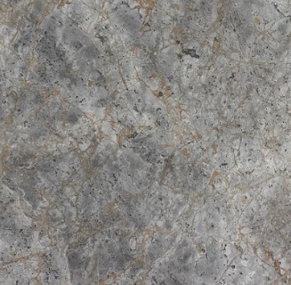 Close-up photograph of Grey