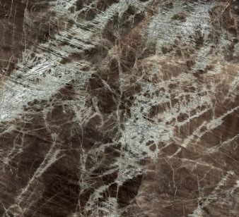 Close-up photograph of Yellow