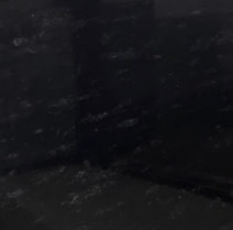 Close-up photograph of Black