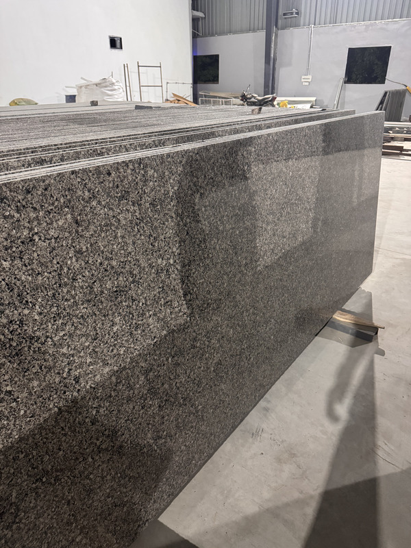 Close-up photograph of Grey Black