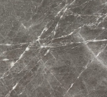 Close-up photograph of Dark Grey