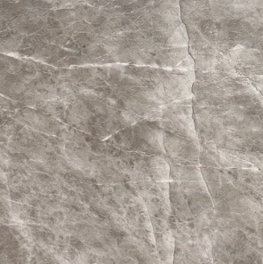Close-up photograph of White Grey